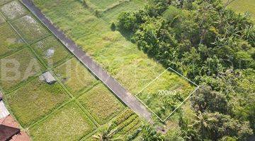 Gambar 1 200m2 Of Land For Sale In Kedungu With Ricefield Views