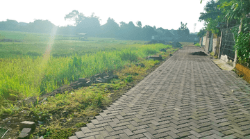 Gambar 4 View Sawah Dijual Tanah Utara Jec Dekat Kota Jogja