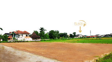 Gambar 1 View Sawah Dijual Tanah Utara Jec Dekat Kota Jogja