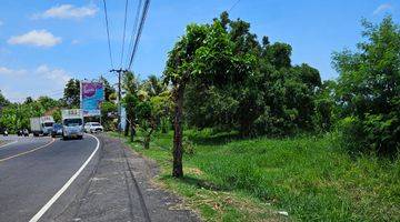 Gambar 4 Tanah SHM Luas 23.430 m² di Kab. Tabanan Rp 130 Juta Per Are