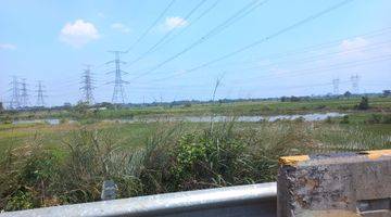 Gambar 5 Dijual Cepat (BU) Tanah sawah deket toll KM43