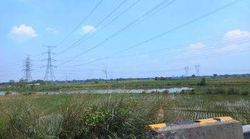 Gambar 2 Dijual Cepat (BU) Tanah sawah deket toll KM43