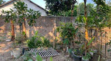 Gambar 2 Dijual Cepat Rumah Dan Kebun Dekat Pik2 Teluknaga