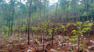 Gambar 4 Tanah Murah Dijual Cepat Area Pasir Impun Cimenyan