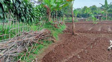 Gambar 5 Tanah Murah Untuk Vila Kebun di Jalan Utama 3000 M2 Dekat Curug Air Terjun Jalan Raya Abdul Fatah Tenjolaya Kabupaten Bogor