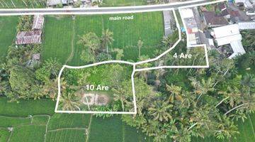 Gambar 1 Freehold Amazing Freehold Land In Ubud Tegallang