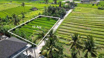 Gambar 2 Freehold Perfect Size Land In The Orange Zone Of Nyanyi