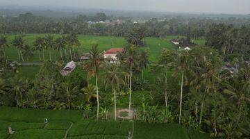 Gambar 4 Freehold Amazing Freehold Land In Ubud Tegallang