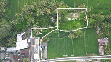 Gambar 3 Freehold Amazing Freehold Land In Ubud Tegallang