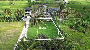 Gambar 3 Freehold Perfect Size Land In The Orange Zone Of Nyanyi