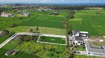 Gambar 1 Freehold Perfect Size Land In The Orange Zone Of Nyanyi