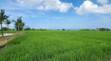 Gambar 4 Dijual Tanah Kavling Eksklusif Dengan View Sawah Dan Laut Berlokasi di Kedungu Tabanan