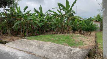 Gambar 4 Dijual Tanah Kavling Impian di Ubud, Area Petulu, Gianyar, Full View Sawah Hijau Nan Asri. 