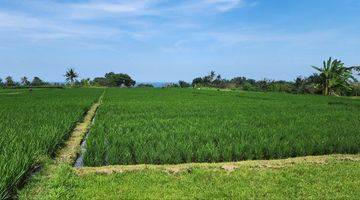 Gambar 2 Dijual Tanah Kavling Eksklusif Dengan View Sawah Dan Laut Berlokasi di Pantai Belong Tabanan