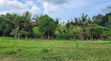 Gambar 1 Dijual Tanah Kavling Eksklusif Dengan View Sawah Dan Laut Berlokasi di Kedungu Tabanan