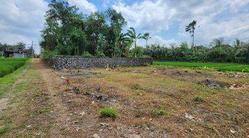 Gambar 4 Dijual Tanah Kavling Impian di Nyitdah, Tabanan, Full View Sawah Hijau Nan Asri di Depan Dan Belakang Lahannya, Diapit Sawah Hijau.