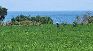 Gambar 3 Dijual Tanah Kavling Eksklusif Dengan View Sawah Dan Laut Berlokasi di Pantai Belong Tabanan