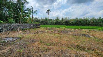 Gambar 1 Dijual Tanah Kavling Impian di Nyitdah, Tabanan, Full View Sawah Hijau Nan Asri di Depan Dan Belakang Lahannya, Diapit Sawah Hijau.