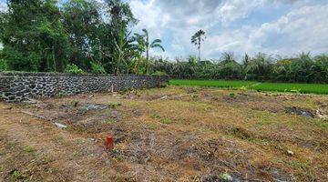 Gambar 2 Dijual Tanah Kavling Impian di Nyitdah, Tabanan, Full View Sawah Hijau Nan Asri di Depan Dan Belakang Lahannya, Diapit Sawah Hijau.