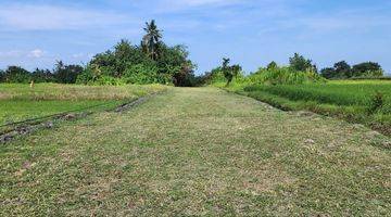 Gambar 5 Dijual Tanah Kavling Eksklusif Dengan View Sawah Dan Laut Berlokasi di Pantai Belong Tabanan