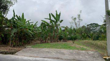 Gambar 3 Dijual Tanah Kavling Impian di Ubud, Area Petulu, Gianyar, Full View Sawah Hijau Nan Asri. 