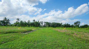 Gambar 1 Dijual Tanah Kavling Eksklusif Dengan View Sawah Dan Laut Berlokasi di Pantai Belong Tabanan