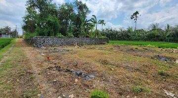 Gambar 3 Dijual Tanah Kavling Impian di Nyitdah, Tabanan, Full View Sawah Hijau Nan Asri di Depan Dan Belakang Lahannya, Diapit Sawah Hijau.