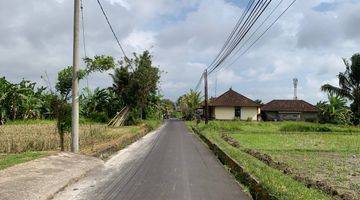 Gambar 1 Dijual Tanah Kavling Impian di Ubud, Area Petulu, Gianyar, Full View Sawah Hijau Nan Asri. 