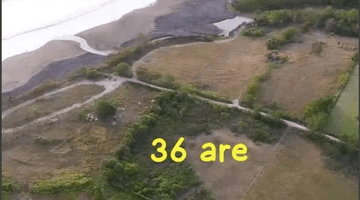 Gambar 5 Tanah Hak Milik 3600m2 60m Dari Pantai Dengan Pemandangan Laut .10 Menit Dari Canggu