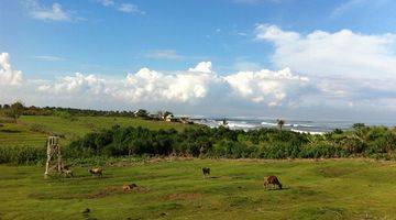 Gambar 3 Tanah Hak Milik 3600m2 60m Dari Pantai Dengan Pemandangan Laut .10 Menit Dari Canggu