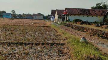 Gambar 4 Dijual Tanah Sawah di Tegal Aren Ligung, Majalengka