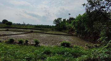 Gambar 2 Dijual Tanah Sawah Produktif di Jatiwangi, Majalengka