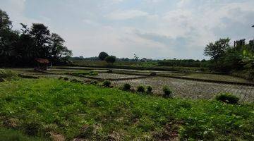 Gambar 3 Dijual Tanah Sawah Produktif di Jatiwangi, Majalengka