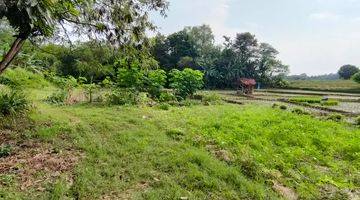 Gambar 1 Dijual Tanah Sawah Produktif di Jatiwangi, Majalengka