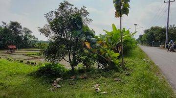 Gambar 5 Dijual Tanah Sawah Produktif di Jatiwangi, Majalengka