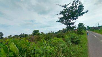 Gambar 3 Dijual Tanah Kebun Jeruk 6.916 m² di Ligung, Majalengka