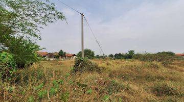 Gambar 3 Dijual Tanah Padat Siap Bangun di Area Plumbon, Cirebon