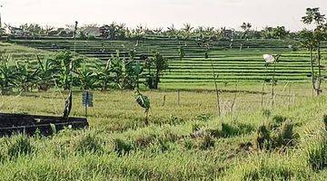 Gambar 3 Dijual Tanah di Dekat Bumbak Canggu 7 Are Dekat Pantai Berawa