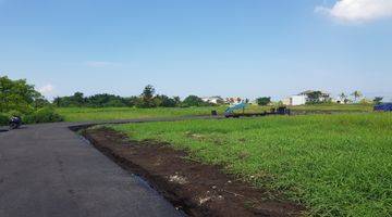 Gambar 2  di Jl pantai kedungu belalang , Tabanan