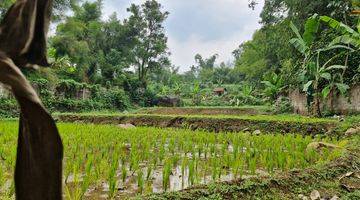 Gambar 5 Dijual Tanah Nempel Dengan Kebun Duren Warso