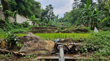 Gambar 4 Dijual Tanah Nempel Dengan Kebun Duren Warso