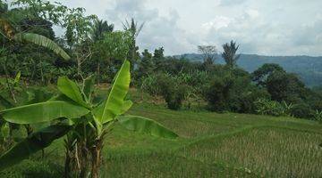 Gambar 5 Tanah Cantik Abis Didesa Sukawangi, Kec Suka Makmur Bogor Harga Murah Dibawah Harga Pasaran.