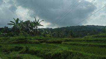 Gambar 1 Tanah Cantik Abis Didesa Sukawangi, Kec Suka Makmur Bogor Harga Murah Dibawah Harga Pasaran.