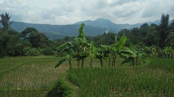 Gambar 4 Tanah Cantik Abis Didesa Sukawangi, Kec Suka Makmur Bogor Harga Murah Dibawah Harga Pasaran.