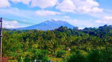 Gambar 1 Dijual Tanah 3090 m² SHM View Gunung Agung Karangasem VR