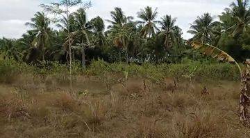 Gambar 2 Tanah Kebun Cocok Untuk Bisnis Batu Bata Merah