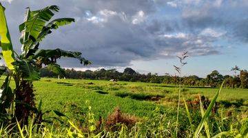 Gambar 5 Tanah Kosong Daerah Tabanan, Dijual