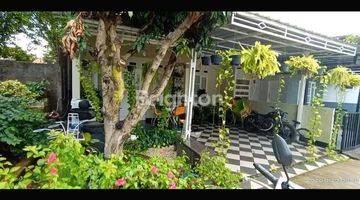 Gambar 1 DI  RUMAH CANTIK 1,5 LANTAI DI KOMPLEK GRAND MUTIARA  Rp.1,8M(NEGO tipis)