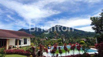 Gambar 1 Villa Coolibah luas 5000m2 Cipanas