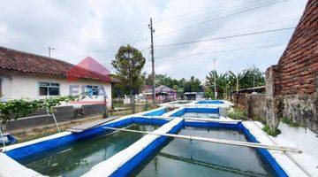 Gambar 4 Tanah Usaha Pembibitan Lele Alat alatnya Dekat Wisata Lembah Indah Gunung Kawi